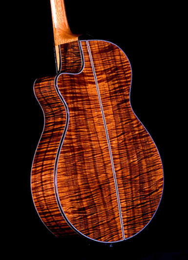 Humu_archtop_back07-2.jpg